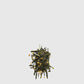 Organic Yuzu Sencha Loose Leaf Tea | KonMari by Marie Kondo 