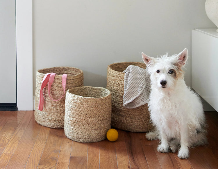 How to Organize Your Home: Baskets and Containers