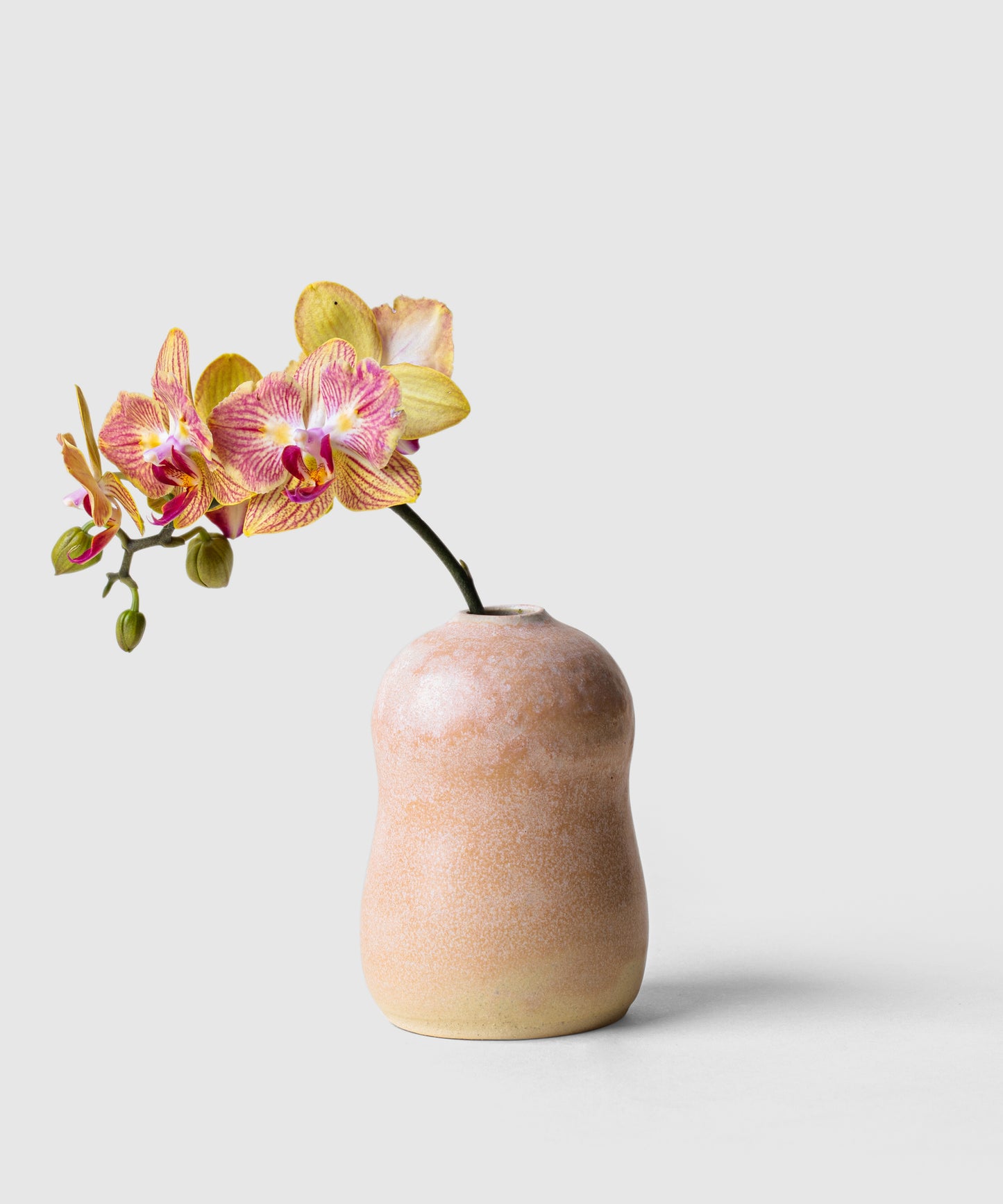 Small Bubble Bud Vase by D:Ceramics | KonMari