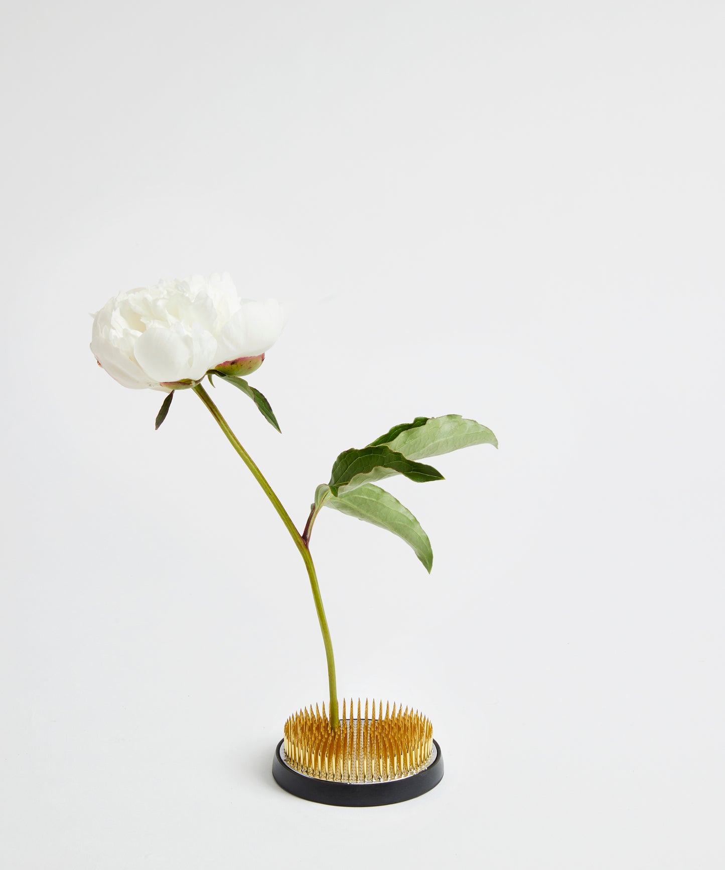 Japanese Ikebana Kenzan Flower Frog | Shop at KonMari by Marie Kondo